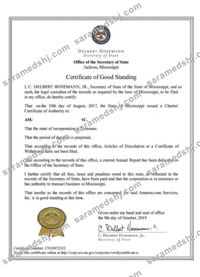 USA Mississippi certificate of good standing